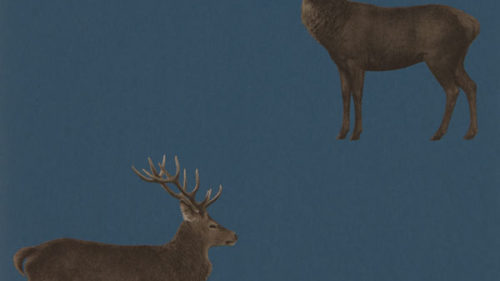 Evesham Deer 216620